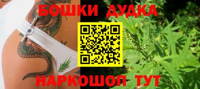 дживик Волжск