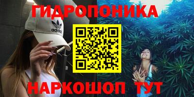 дживик Волжск