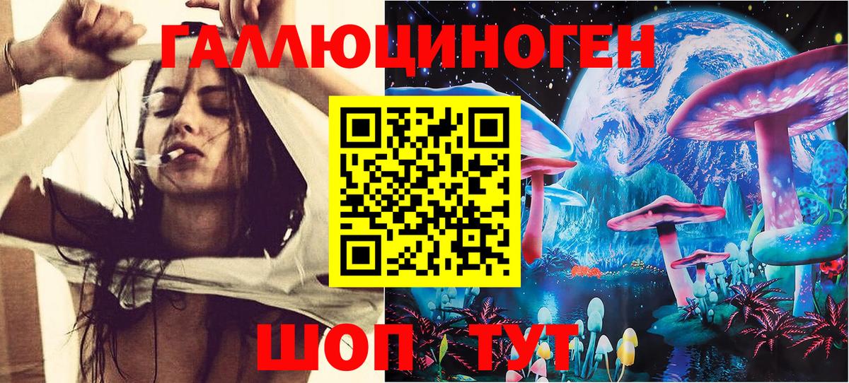 Псилоцибиновые грибы Psilocybine cubensis  Галлюциногенные грибы MAGIC MUSHROOMS  Новокубанск  Вход с VPN 